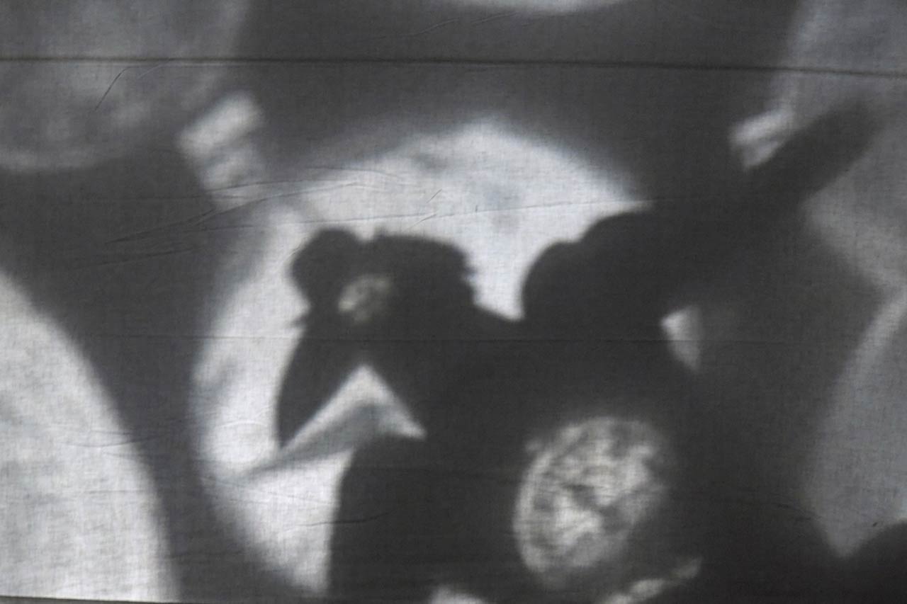 ballettodiroma-produzioni-il-piccolo-re-dei-fiori-g01