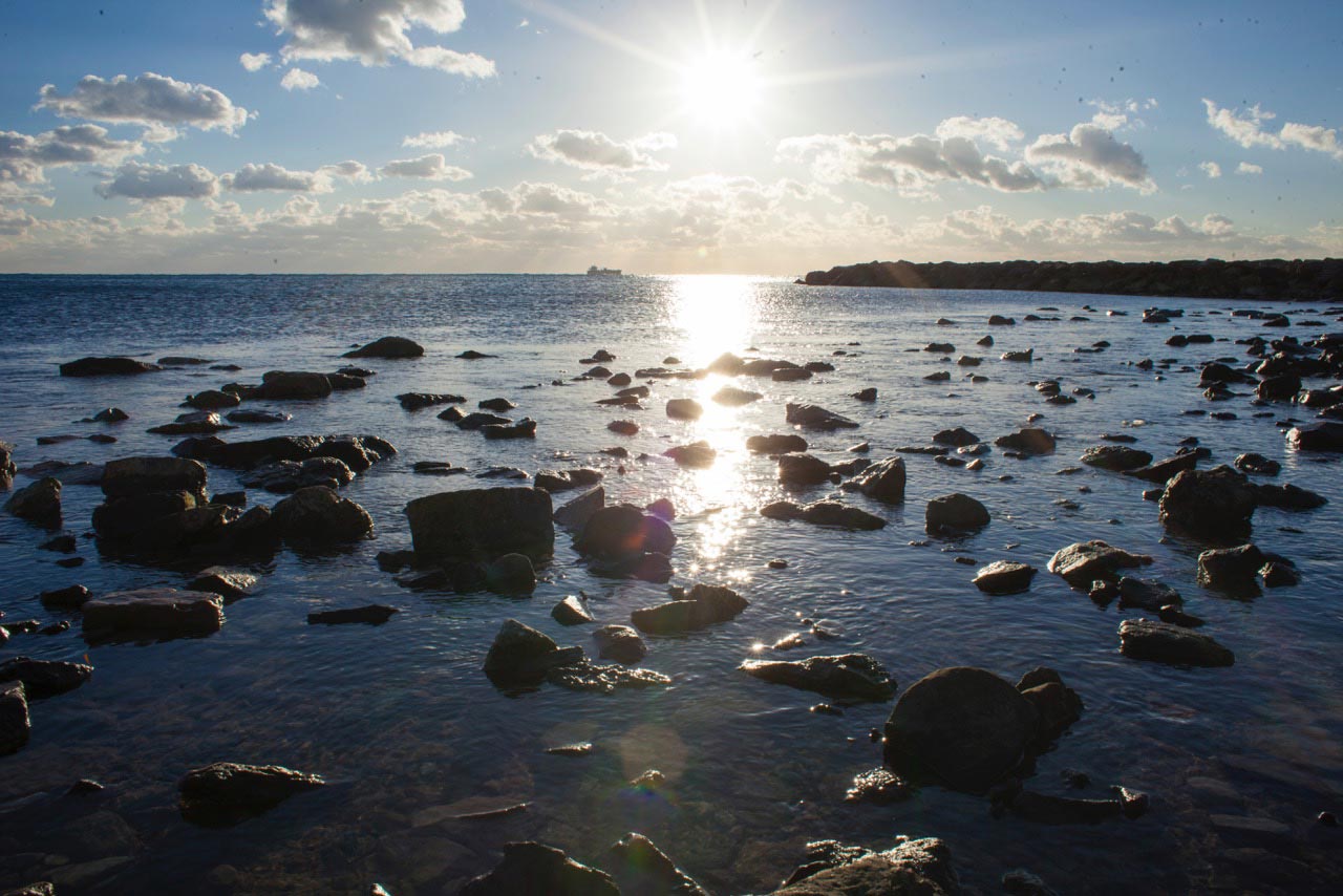 ballettodiroma-reveals2-003