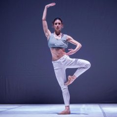 paradox-artisceniche-05-2016-238×238