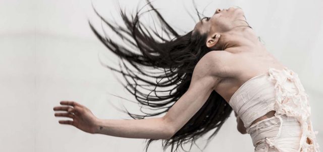 produzioni-borders-2017-inside