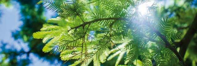 summer-school-generic-inside